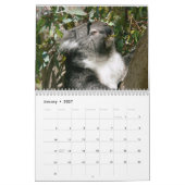 Adorable Koala Bears - Kalender 2016 (Jan 2027)
