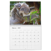 Adorable Koala Bears - Kalender 2016 (Feb 2027)
