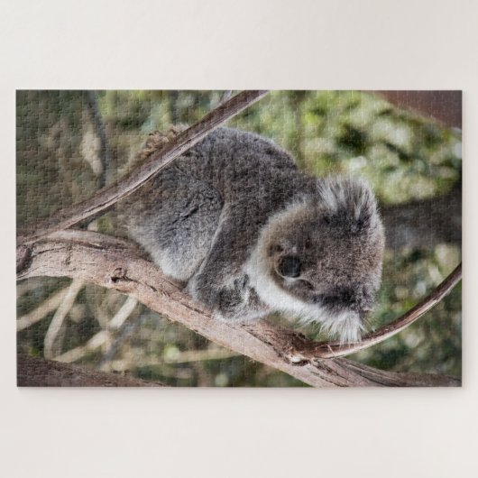 Adorable Koala Puzzle (Horizontal)