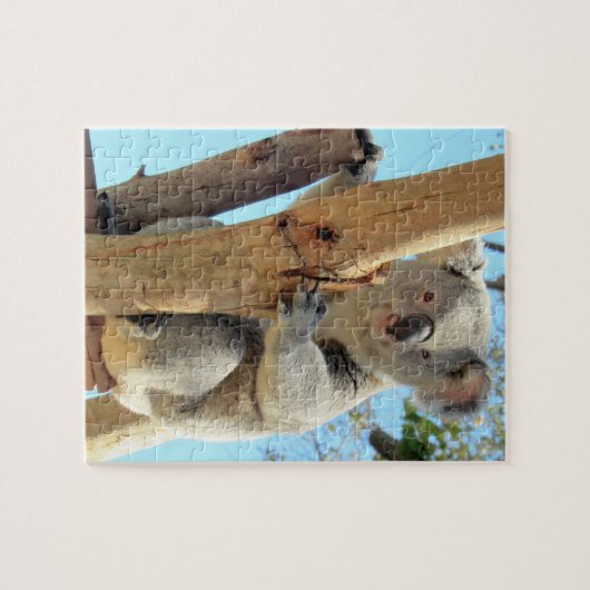 Adorable Koala Puzzle - Australian Wildlife (Horizontal)