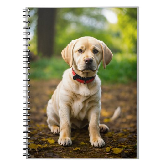 Adorable Labrador Hunde Illustration - Niedliche W Notizblock (Vorderseite)