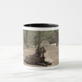 Adorable Labrador Retriever Welpe auf Waldweg Tasse (Zentrum)