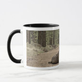 Adorable Labrador Retriever Welpe auf Waldweg Tasse (Links)