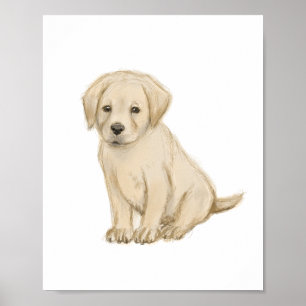 Adorable Labrador Welpenskizze Poster