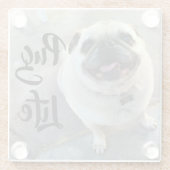 Adorable Lächeln Mops Hunde Mops Leben Glasuntersetzer (Rückseite)