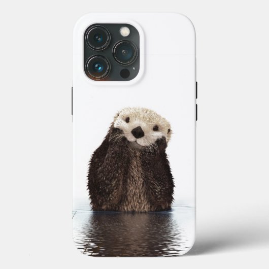 Adorable Lächeln Otter in Lake OtterBox iPhone Cas Case-Mate iPhone Hülle (Rückseite)