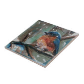Adorable Little Eastern Bluebird Song Bird Small Fliese (Seite)