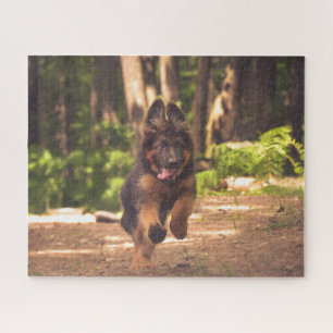 Adorable Long Hair German Shepherd Puppy Puzzle