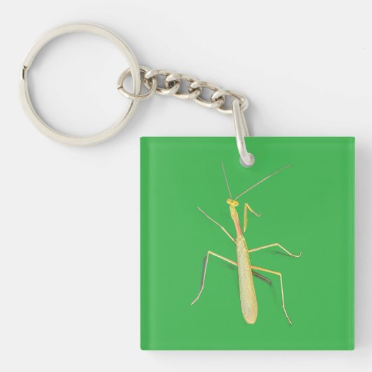 Adorable Mantis Schlüsselanhänger (Vorderseite)