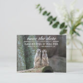 Adorable Meerkats Save the Date Ankündigungspostkarte (Stehend Vorderseite)