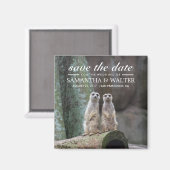 Adorable Meerkats Save the Date Magnet (Vorderseite/Rückseite)