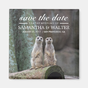 Adorable Meerkats Save the Date Magnet