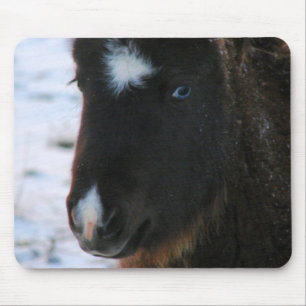 Adorable Mini Horse Fill Mousepad