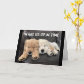 ADORABLE NAPPING PUPS WÜNSCHEN "YOU GLY BIRTHDAY"  KARTE (Gelbe Blume)