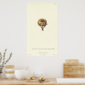 Adorable Nest von Crested Hummingbirds - Hübsch! Poster (Küche)