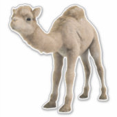 Adorable Niedlich Baby Camel Aufkleber - individue (Vorderseite)
