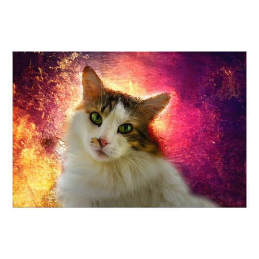 Adorable Niedlich Calico Cat Fotodruck (Vorne)