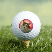 Adorable Niedlich Calico Cat Golfball (Insitu T-Shirt)