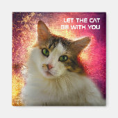 Adorable Niedlich Calico Cat Magnet (Vorne)