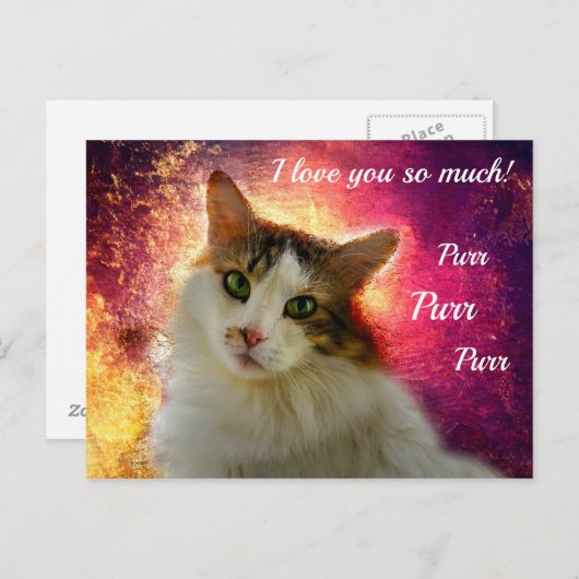 Adorable Niedlich Calico Cat Postkarte (Vorne/Hinten)