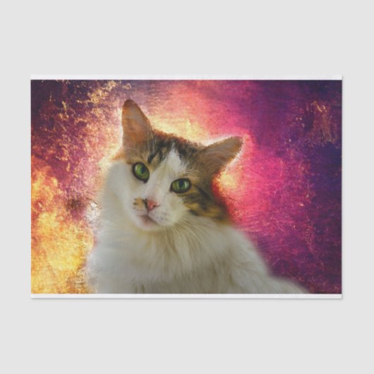 Adorable Niedlich Calico Cat Seidenpapier (Vorderseite)