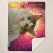 Adorable Niedlich Calico Cat Sherpadecke (Vorderseite)