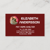 Adorable Niedlich Calico Cat Visitenkarte (Rückseite)