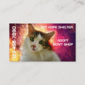 Adorable Niedlich Calico Cat Visitenkarte (Vorderseite)