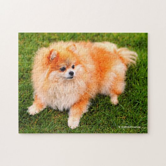 Adorable Niedlich Spitz Welpenhund Puzzle (Horizontal)