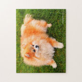 Adorable Niedlich Spitz Welpenhund Puzzle (Vertikal)