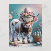 Adorable Osterhochland Kuh Postkarte (Vorderseite)
