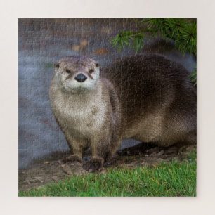 Adorable Otter am Ufer Puzzle