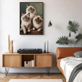 Adorable Pair Ragdoll Kittens Sweet Cat Poster