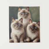 Adorable Pair Ragdoll Kittens Sweet Cat Wandteppich (Vorderseite)