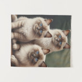 Adorable Pair Ragdoll Kittens Sweet Cat Wandteppich (Vorderseite (Horizontal))