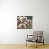 Adorable Pair Ragdoll Kittens Sweet Cat Wandteppich (Beispiel (Horizontal))