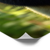 Adorable Panda im Bambuswald Poster (Ecke)