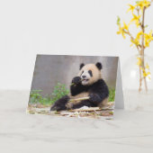 Adorable Panda Nibbling Bamboo Grußkarte Karte (Gelbe Blume)