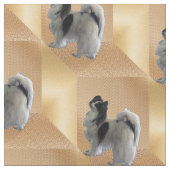 Adorable Papillon Hund auf Gold Cubes Stoff (Nahaufnahme)