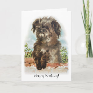 Adorable Peeling Hund Geburtstagkarte Karte