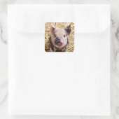 Adorable Piglet Stickers (Tasche)