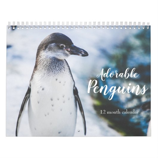 Adorable Pinguine 2026 Kalender (Titelbild)