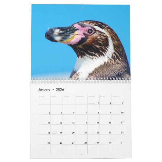 Adorable Pinguine 2026 Kalender (Jan 2026)