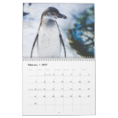 Adorable Pinguine 2026 Kalender (Feb 2027)