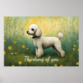 Adorable Poodle in der Wiese denken Sie Poster (Vorne)