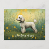 Adorable Poodle in der Wiese denken Sie Postkarte (Vorderseite)