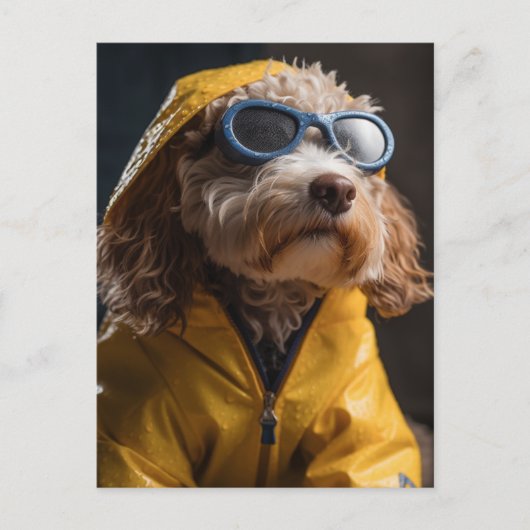 Adorable Poodle Mix Hund in einem gelben Regenmant Postkarte (Vorderseite)