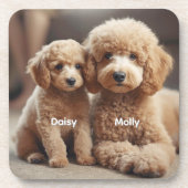 Adorable Poodle Personalisiert Untersetzer Set (Vorderseite)