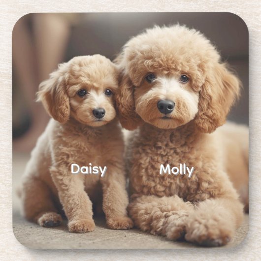Adorable Poodle Personalisiert Untersetzer Set (Vorderseite)