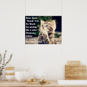 Adorable Pracht Kitten Poster (Küche)